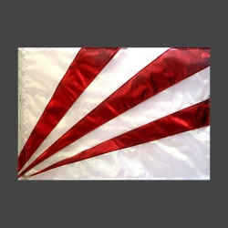 L+ Flagge Heiliges Feuer